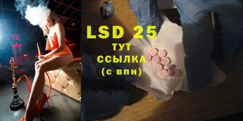 что такое   Каргополь  LSD-25 экстази кислота 